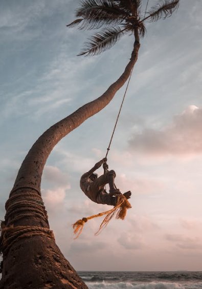 Background image for Rento.lk driving permit service section